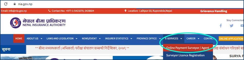 Insurance agents and surveyors licenses will  be renewed from online